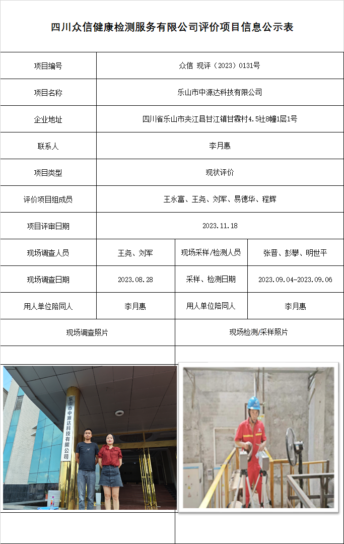 乐山市中源达科技有限公司现状评价
