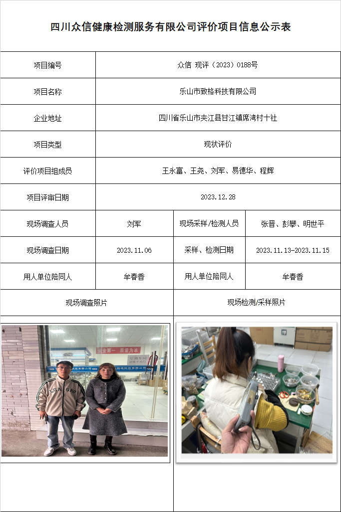 乐山市致格科技有限公司现状评价