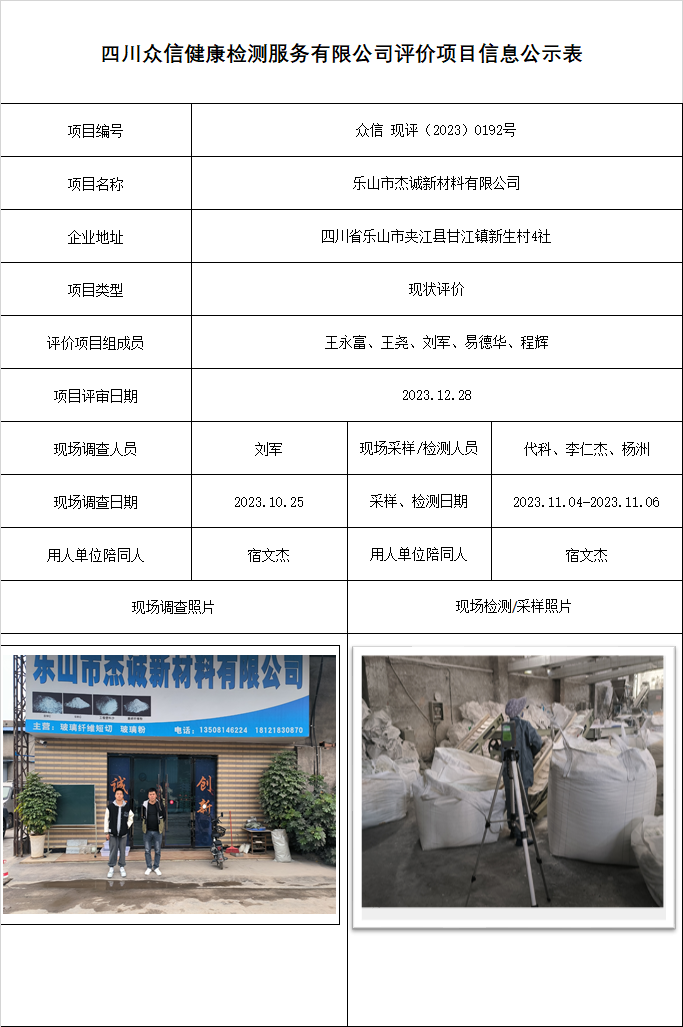 乐山市杰诚新材料有限公司现状评价