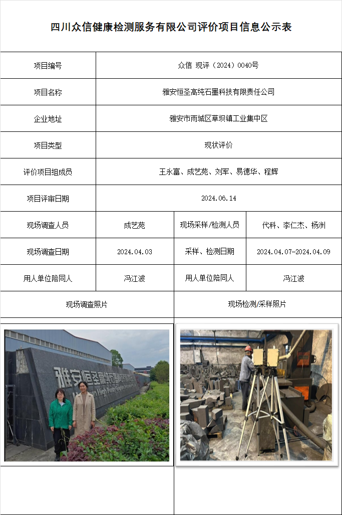 雅安恒圣高纯石墨科技有限责任公司现状评价