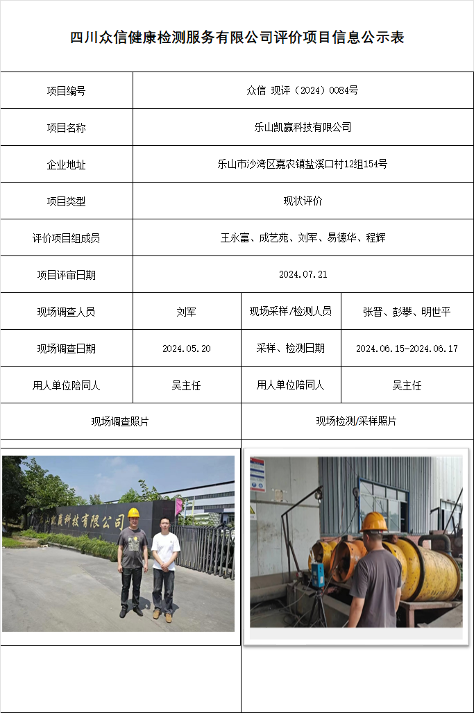 乐山凯赢科技有限公司现状评价