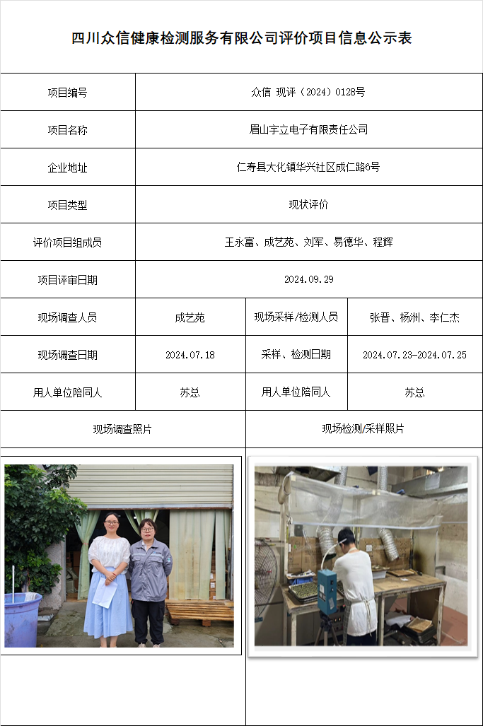 眉山宇立电子有限责任公司现状评价