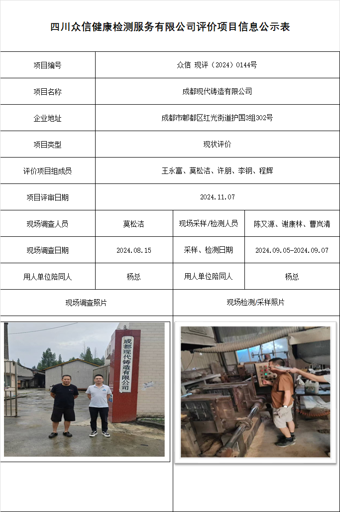 成都现代铸造有限公司现状评价