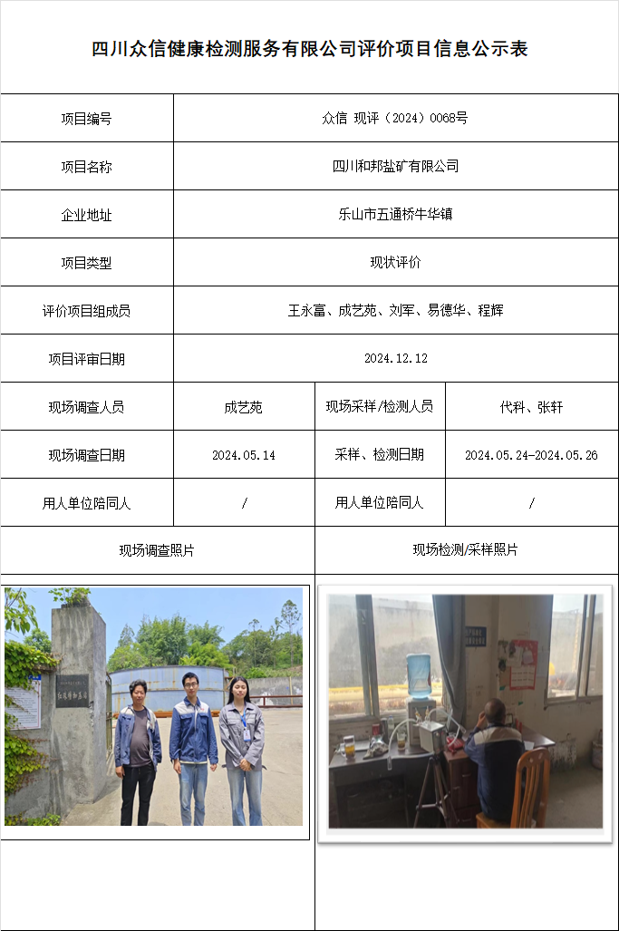 四川和邦盐矿有限公司现状评价