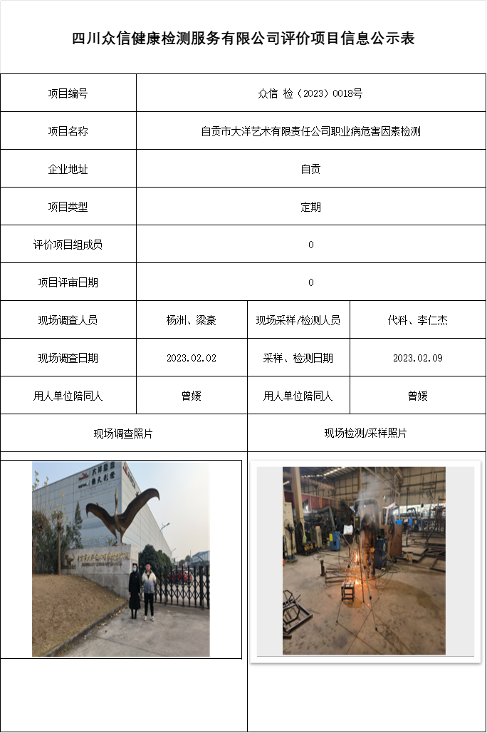 自贡市大洋艺术有限责任公司职业病危害因素检测