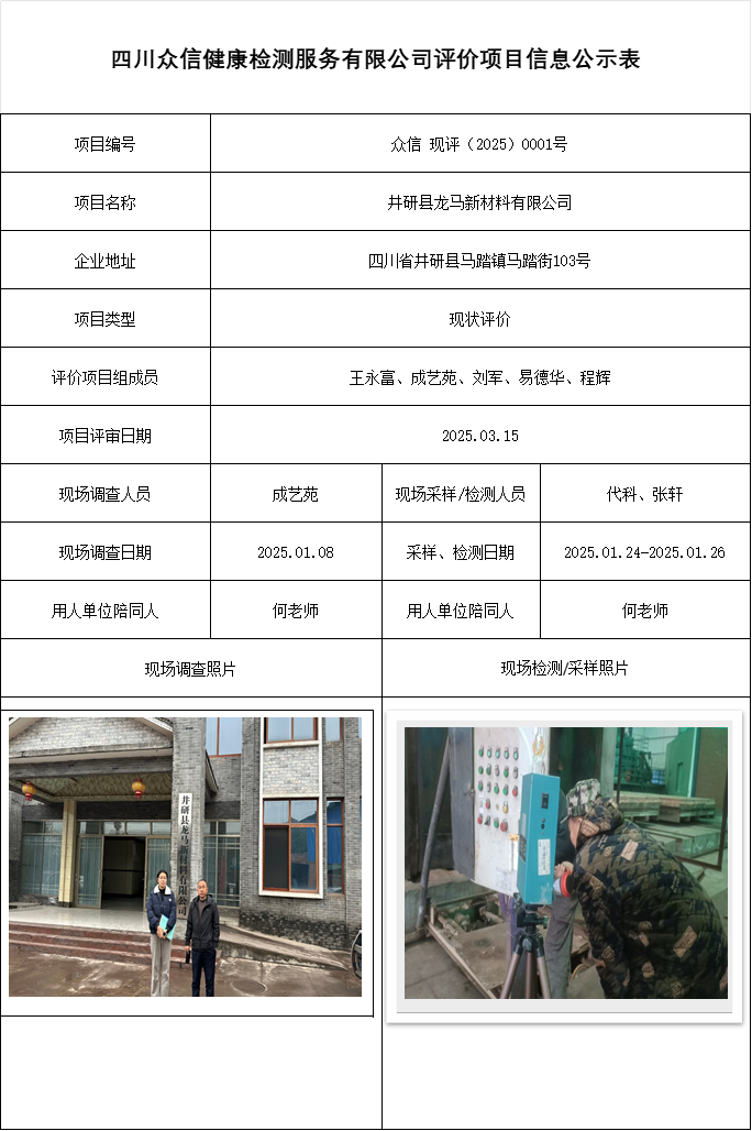 井研县龙马新材料有限公司现状评价