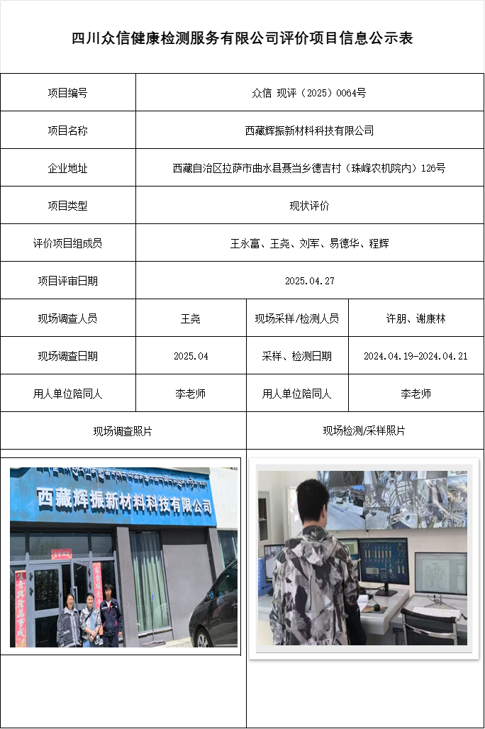 西藏辉振新材料科技有限公司现状评价