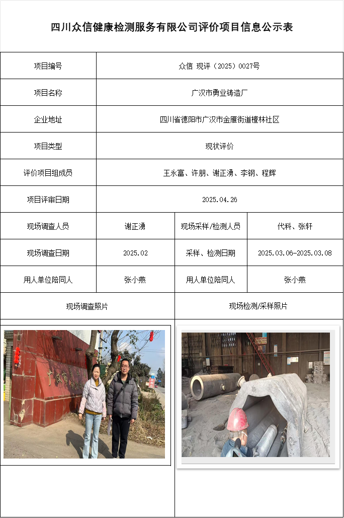 广汉市勇业铸造厂现状评价