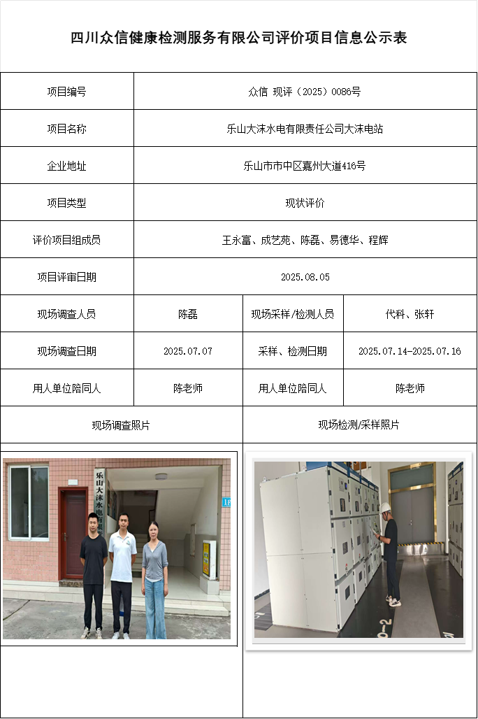 乐山大沫水电有限责任公司大沫电站现状评价