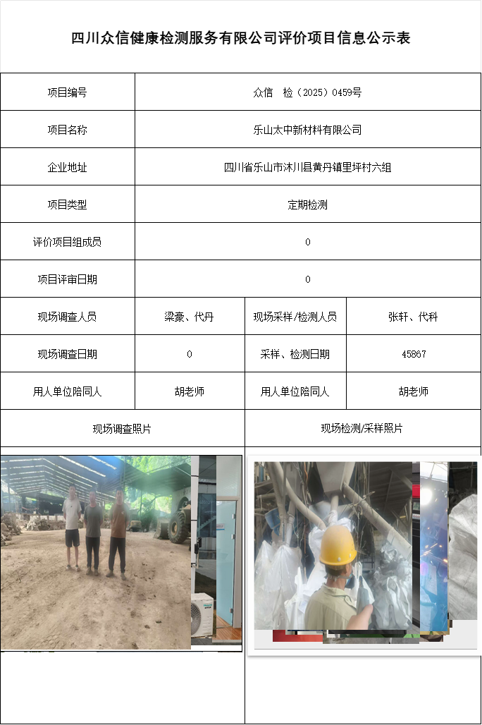 乐山太中新材料有限公司