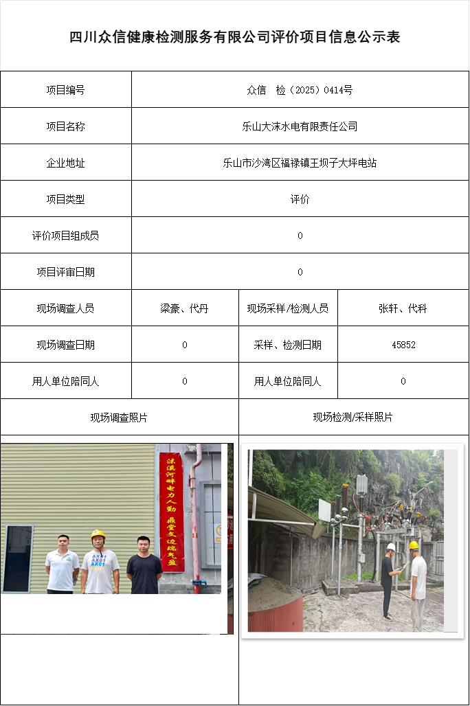 乐山大沫水电有限责任公司